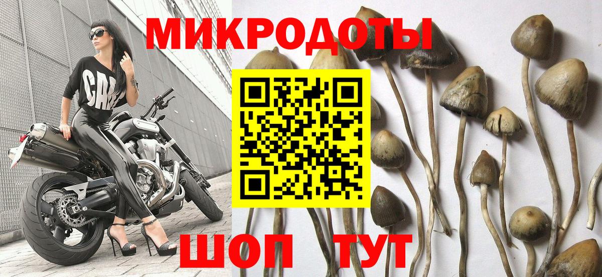 Рязань  Псилоцибиновые грибы ЛСД  Псилоцибиновые грибы Psilocybe  Вход с VPN 